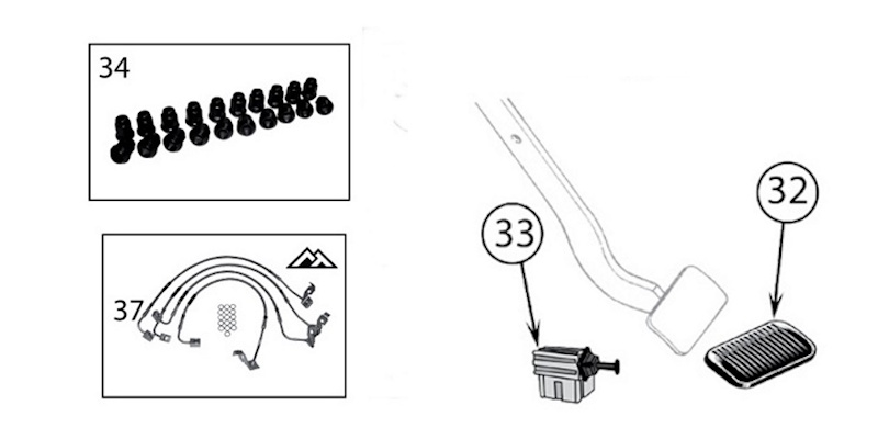 Animated markings image